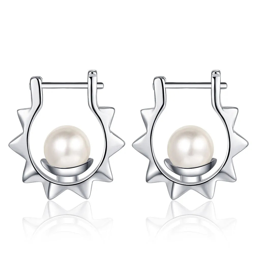 Luxury Shine Stamp 925 Sterling Silver Post Gold Plated Earrings Inlaid Boutique White Zircon Women Hook Drop Earrings Gift
