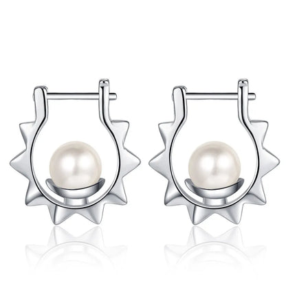 Luxury Shine Stamp 925 Sterling Silver Post Gold Plated Earrings Inlaid Boutique White Zircon Women Hook Drop Earrings Gift